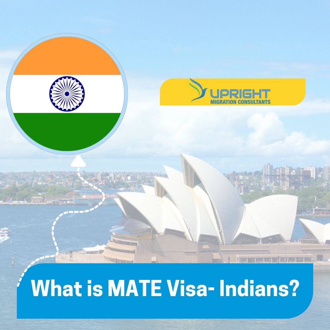 what-is-mate-visa-india